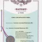 патент топка